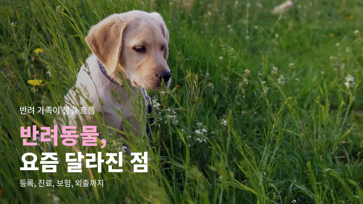 풀밭에 앉아 있는 강아지